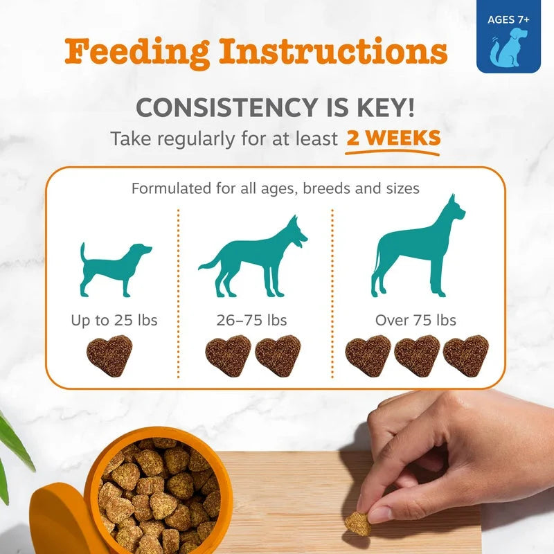 Senior Advanced Probiotic Bites for Dogs, for Gut & Digestive Health, Chicken Flavor 90 Ct Soft Chews