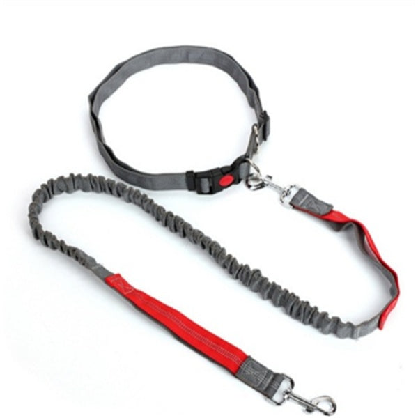 FlexControl Bungee Dog Leash