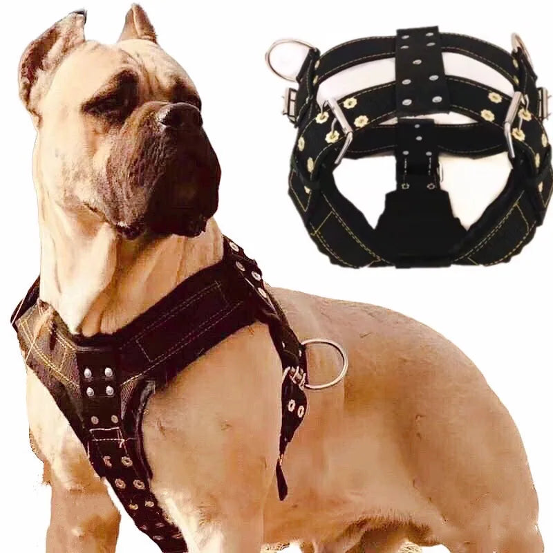 Dog Harness For Large Dog,Pit Bull Dog Harness Large Dog Collar