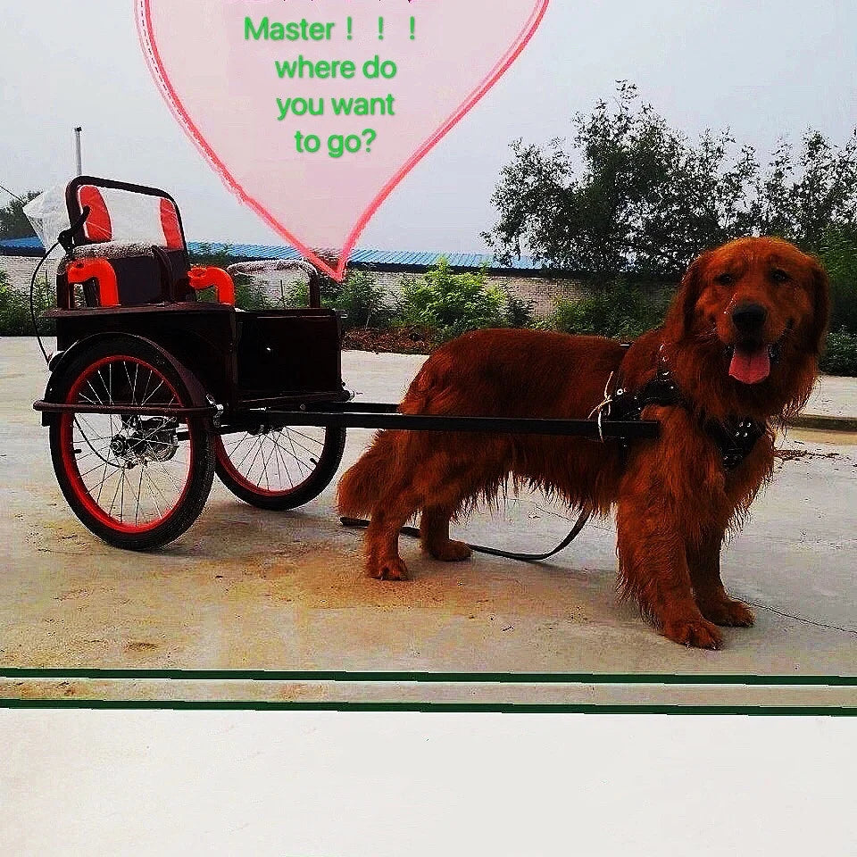 Dog Harness For Large Dog,Pit Bull Dog Harness Large Dog Collar