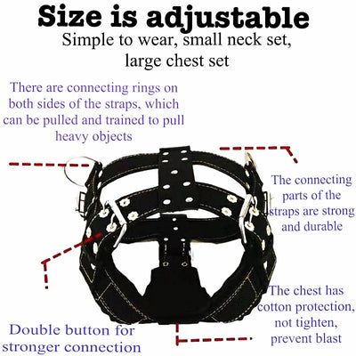 Dog Harness For Large Dog,Pit Bull Dog Harness Large Dog Collar