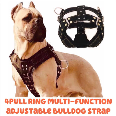 Dog Harness For Large Dog,Pit Bull Dog Harness Large Dog Collar