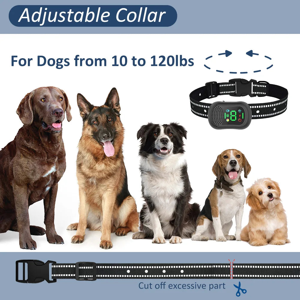 Dog Training Collar 6500FT with Remote Innovative IPX7 Waterproof