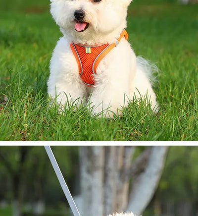 Harness for a Dog Harness Guard Harnesses for Dogs Pet Puppy