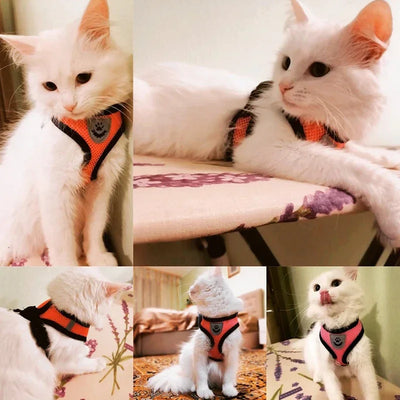 Cat Harness Vest Walking Lead Leash For Puppy Dogs Collar
