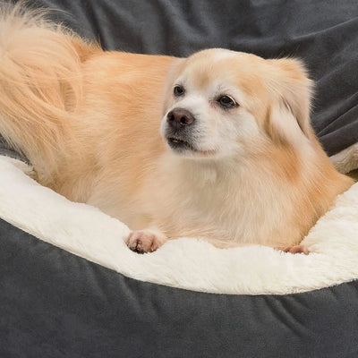 Kennel cat litter pet litter teddy small medium dog cushion blanket