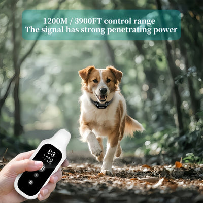 800m Digital Dog Training Collar Waterproof Rechargeable Remote