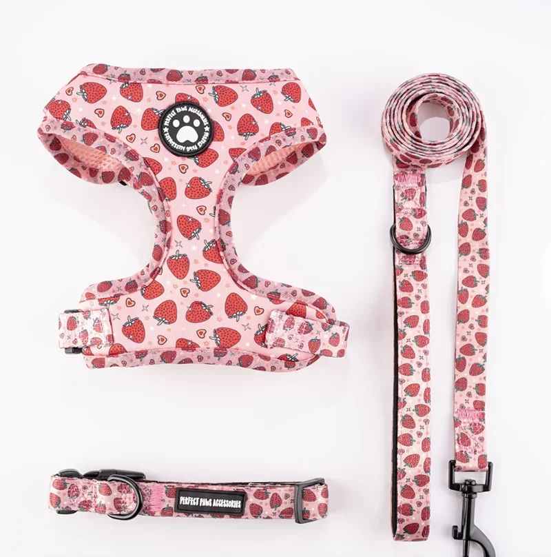 Dog Harness and Leash Set-Includes dog collar and leash