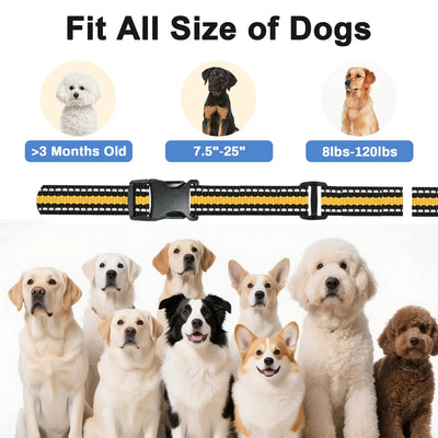 Dog Training Collar with Remote 2600ft Range 3 Modes