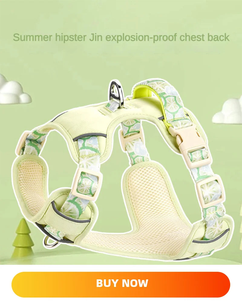 Dog Collars Harness with Leash Set Breathable Puppy Vest Chest Strap