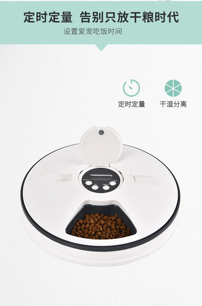 Automatic Feeder Pet Dog Round Timing Feeder 6 Meals 6 Grids Cat Dog Electric Dry Food Dispenser 24 Hours Feed Pet Supplies