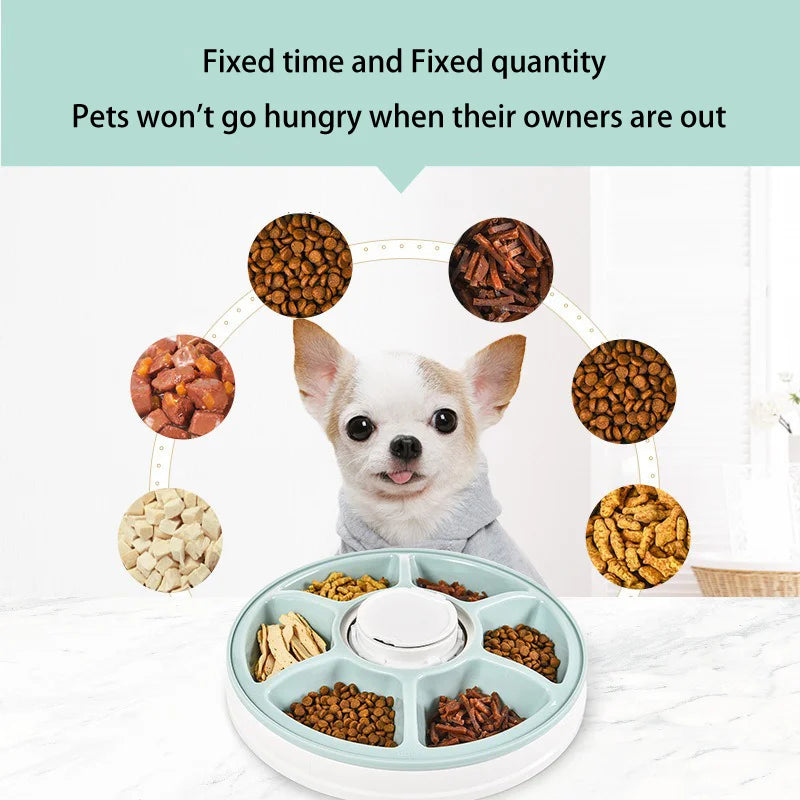 Automatic Feeder Pet Dog Round Timing Feeder 6 Meals 6 Grids Cat Dog Electric Dry Food Dispenser 24 Hours Feed Pet Supplies