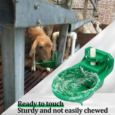 Livestock Sheep Goat Automatic Drinker Bowl