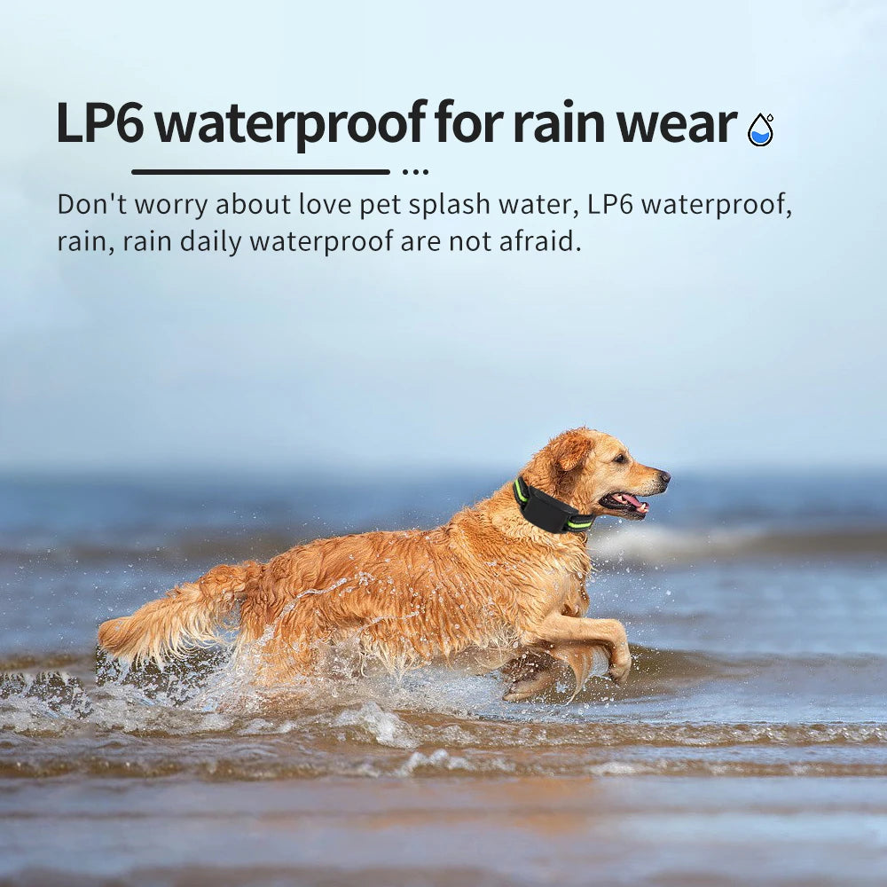 Dog Training Collar Anti-barking Collar Automatic Anti Bark Dog Collar