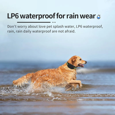 Dog Training Collar Anti-barking Collar Automatic Anti Bark Dog Collar