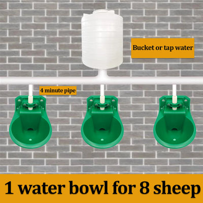 Livestock Sheep Goat Automatic Drinker Bowl