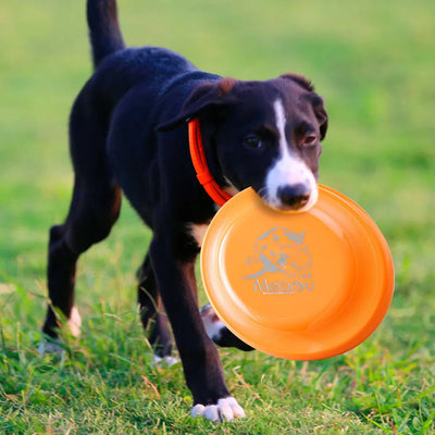 Dog Training Disc - Durable Pet  for Puppy & Adult Dog Training