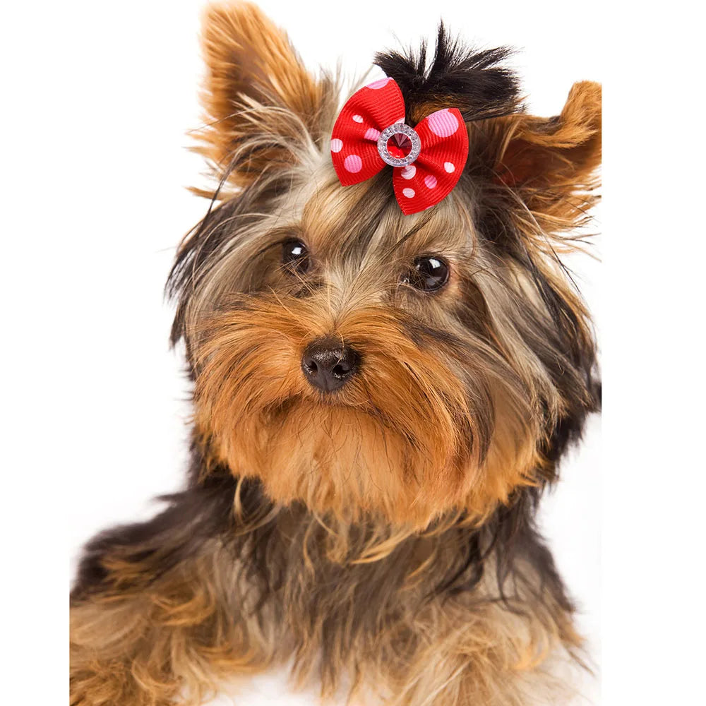 20pcs Dog Grooming Bows Mix Plaid Dot Cat Dog Hair Bows