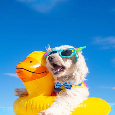 50pcs Small Dog Bowtis Pet Bowknot Fashion Dog Grooming For Dogs