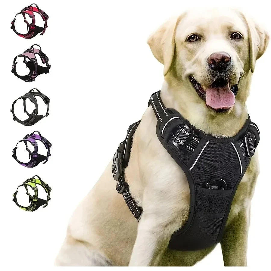 Dog Collar Harness Set Adjustable Leather Puppy