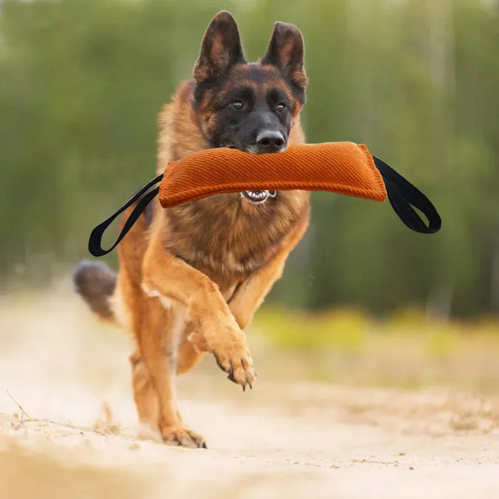 Dog training supplies, suitable for small and medium-sized dogs