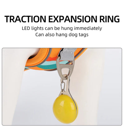 Medium Large Dog Harnesses Collar Labrador Army Reflective