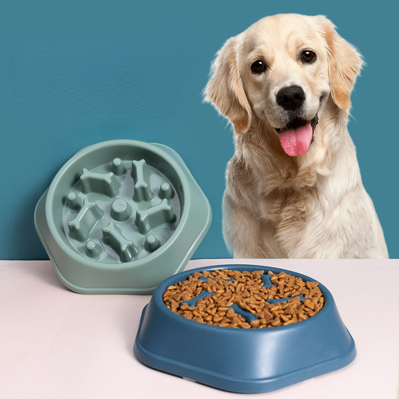 Anti - Gulping Feeding Supplies, Puppy and Cat Eating Dish