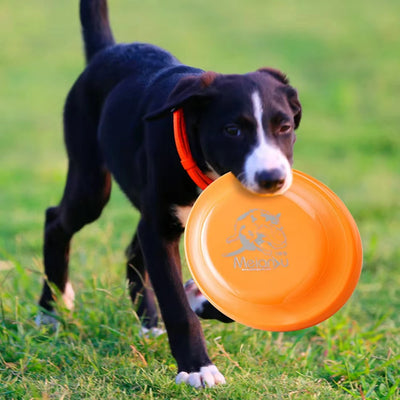 Dog Training Disc - Durable Pet for Puppy & Adult Dog Training,