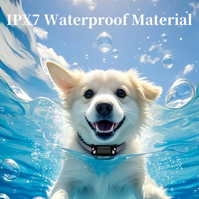 800m Digital Dog Training Collar Waterproof Rechargeable Remote