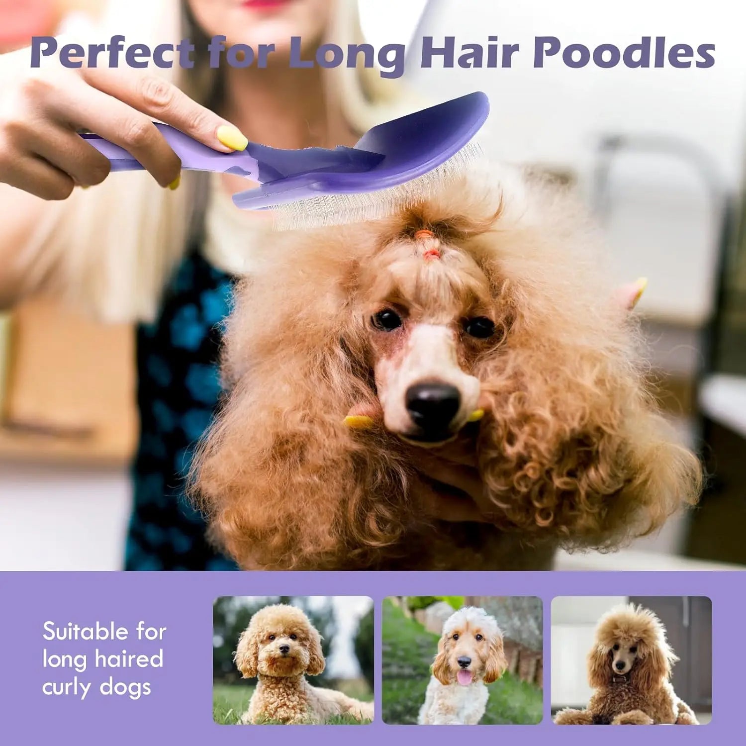 Dog Brush for Poodles Grooming Brush for Dematting Detangle