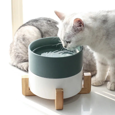 Ceramic Dog Feeding Bowl Pet Feeder Goods For Cats