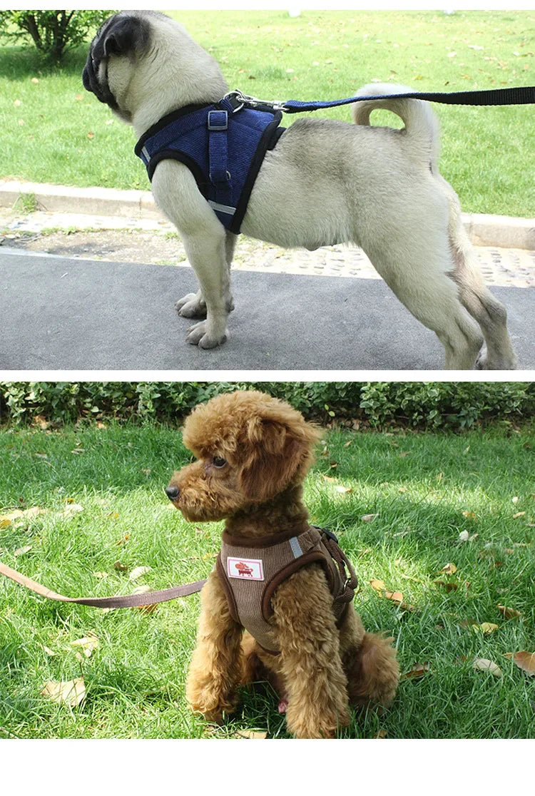 Dog Harness Leash Adjustable Vest Walking Soft Breathable Collar