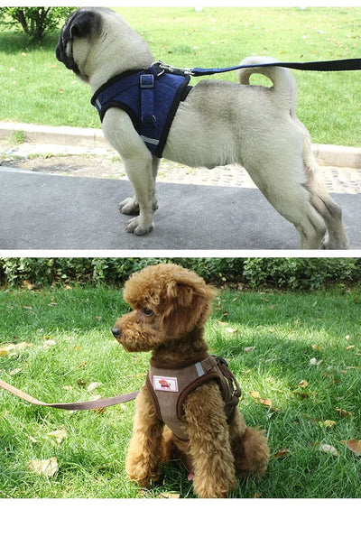 Dog Harness Leash Adjustable Vest Walking Soft Breathable Collar