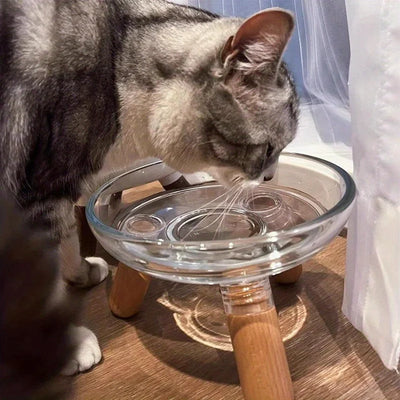 Simple Transparent Tall Cat Bowl Large Caliber Cat Dog Feeding Bowl, Pet Feeding Supplies
