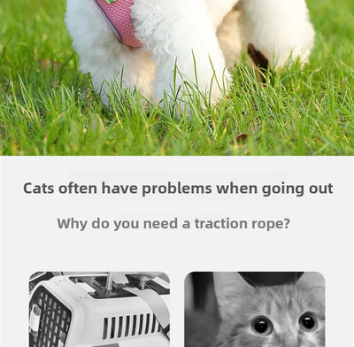 Harness for a Dog Harness Guard Harnesses for Dogs Pet Puppy