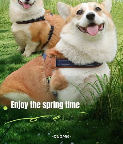 Dog Collar Leash Harness Pet Small Collars Puppy Supplies Adjustable