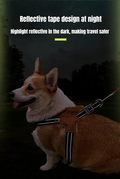 Dog Collar Leash Harness Pet Small Collars Puppy Supplies Adjustable