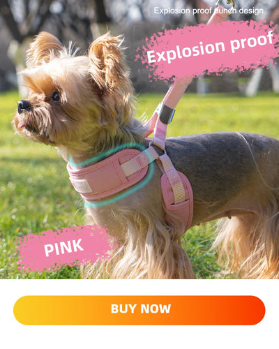 Dog Collars Harness with Leash Set Breathable Puppy Vest Chest Strap