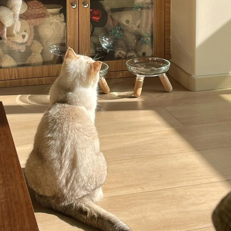 Simple Transparent Tall Cat Bowl Large Caliber Cat Dog Feeding Bowl, Pet Feeding Supplies