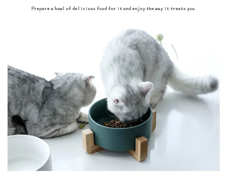 Ceramic Dog Feeding Bowl Pet Feeder Goods For Cats