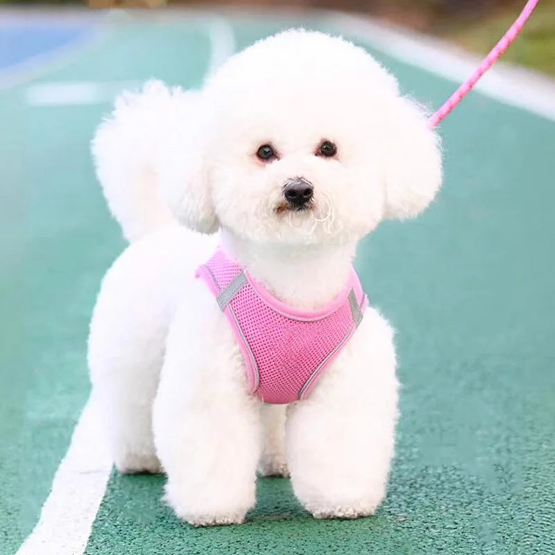 Harness for a Dog Harness Guard Harnesses for Dogs Pet Puppy