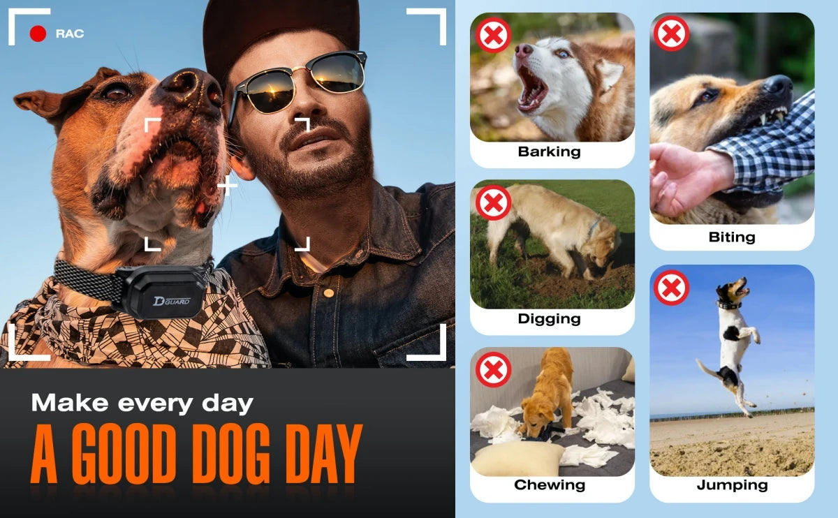 800m Digital Dog Training Collar Waterproof Rechargeable Remote