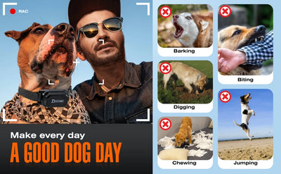 800m Digital Dog Training Collar Waterproof Rechargeable Remote