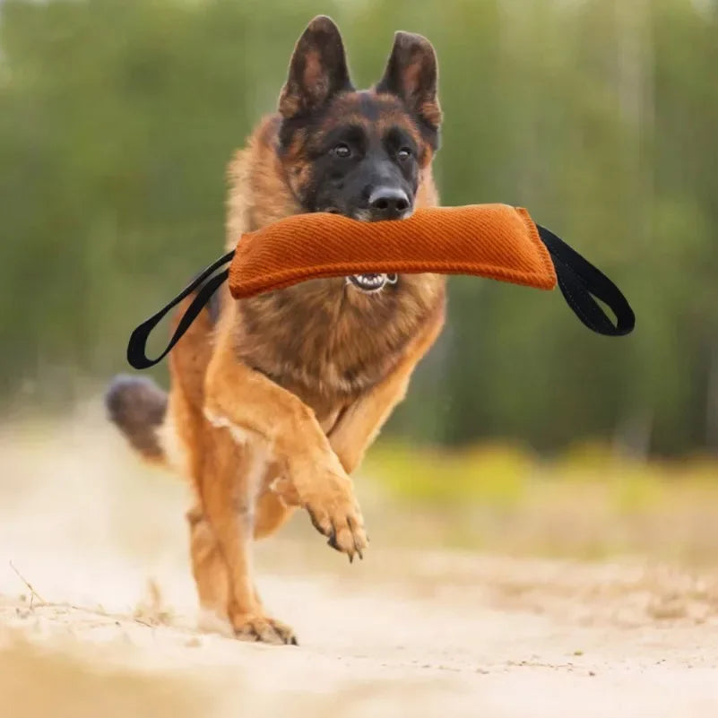 Dog training supplies, suitable for small and medium-sized dogs