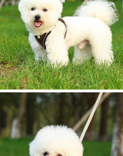 Harness for a Dog Harness Guard Harnesses for Dogs Pet Puppy