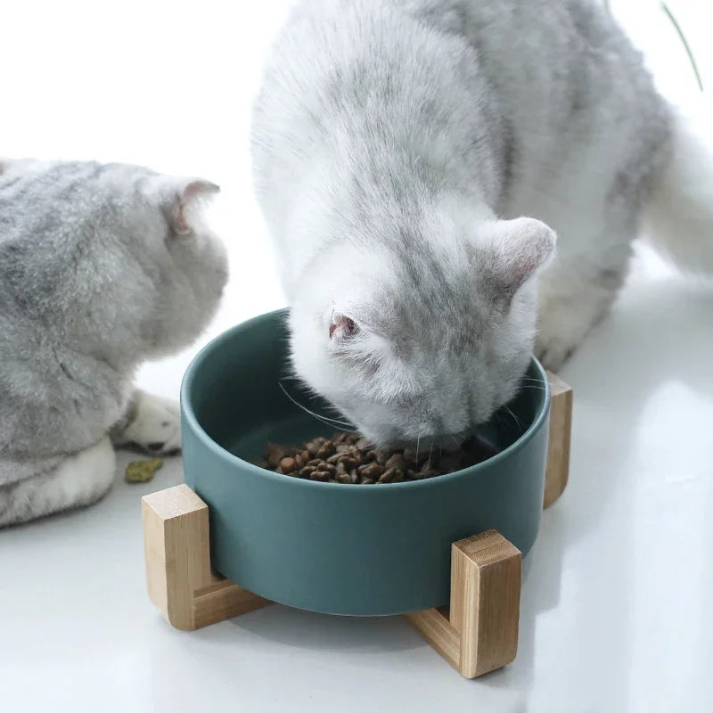 Ceramic Dog Feeding Bowl Pet Feeder Goods For Cats
