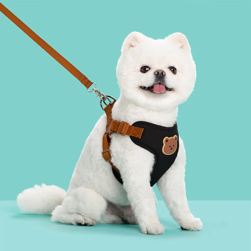 Pet Dog Harness Leash Set Small Medium Dog Cat Vest
