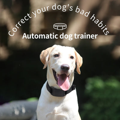 Dog Training Collar Anti-barking Collar Automatic Anti Bark Dog Collar