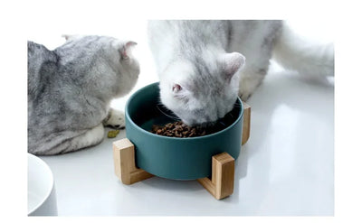 Ceramic Dog Feeding Bowl Pet Feeder Goods For Cats