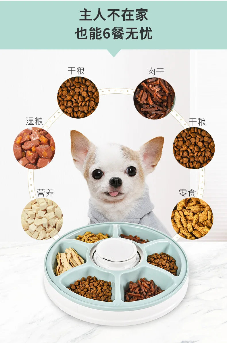 Automatic Feeder Pet Dog Round Timing Feeder 6 Meals 6 Grids Cat Dog Electric Dry Food Dispenser 24 Hours Feed Pet Supplies